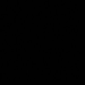 Meet your Posher, Desiree